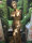 Schöne Figur  Venus von Milo  Skulptur Statue  0005 Top edel Gold