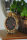 Bilderrahmen Fotorahmen oval  Rahmen  Affe Palme Gold Dschungel 18 x13 cm