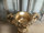 Barock Vase Schale  Blumenvasen Landhaus Rund  Antik Gold W28