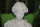 Statue Dame Büste Frau mit Lorbeerkranz Figur Skulptur  Shabbby Stil  2019-70