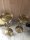 Kerzenständer Kerzenhalter Set 41u. 46 cm Glas Gold Alu französisch Lilie Stumpenkerzen