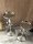 Kerzenständer Kerzenhalter Set 41und 46 cm Glas Silber Alu französisch Lilie Stumpenkerze