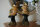 DSC Dekoratives Set Eule Figur Skulptur Eulen Owls je H26 cm TOP