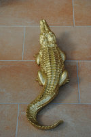 Krokodil Alligator 70cm Garten Gartenfigur Gold Gartenkrokodil Dekoration