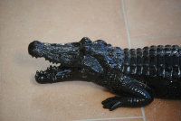 Krokodil Alligator 70cm Garten Gartenfigur Schwarz...