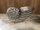 Colmore Shell Muschel Nautilus Vasenschale Skulptur ALU RAW 33x18x17 cm