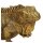 Kersten BV Goldfarbig SkulpturDekoobject Tier Eidechse Gecko Gold 24x14x10cm