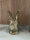 Krömer Alu Hase Ostern Gold o. Silber H 14 cm