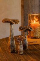 J-line Pilz Skulpturen Set aus geschnitztem Mango-Holz,...
