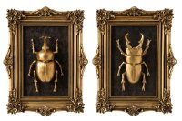 J-line Im Set Bilder 3 D Wandobjekt Insekt Polyresin Gold Sortiert 2