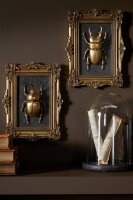 J-line Im Set Bilder 3 D Wandobjekt Insekt Polyresin Gold Sortiert 2