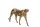 J-line Gepard Figur Polyresin Gold, 43 cm