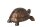 J-line Schildkröte Figur Polyresin Bronzefarben 20 cm