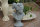 Schöne Statue Dame Büste Eliza Frau Figur Skulptur  Shabbby Stil  2005-23