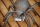 Spinne XXL Vogelspinne Groß lebensgroß 19 cm Gußeisen Figur Guss Eisen Deko
