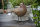 Vogel Vögel 2 er Set Spatz Drossel Garten Deko Top Dekoration Lebensgroße Vögel