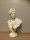 Schöne Büste Apolo XL Skulptur 51 cm Shabby Antik Style Apollo Deko