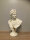 Schöne Büste Apolo XL Skulptur 51 cm Shabby Antik Style Apollo Deko