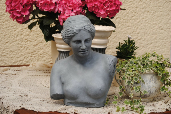 Dame Büste Venus Statue Steingrau Home und Garten 2055-23
