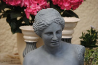 Dame Büste Venus Statue Steingrau Home und Garten 2055-23