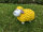 Lustiges Deko Schaf bunt Lamm Gelb Tierfigur Gartenfigur Tier