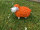 Lustiges Deko Schaf bunt Lamm Orange Tierfigur Gartenfigur Tier