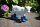 Deko Shop Cologne Figur Ziege mit Stiefel Blau Ziegenbaby Schaf Garten Bauernhof Hofladen Zicklein Lamm Natur