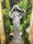 Figur Statue H81cm Grau Frau Dame Edel  Zimmer Statue Garten Deko 0045-23