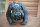 Bulldogge Hund Figur Hunde L40 cm Tier Wachhund Garten Figuren Wetterfest