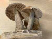 Teak Holz Skulptur Pilze Set  Designs Höhe ca.30cm  Figur Holz Natur Unikat