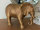 Elefant Deko Figur Gold - farbig L27 cm Dschungle Indien Skulptur Dekofigur Dekoration Orientalisch