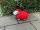 Lustiges Deko Schaf Ziege bunt Lamm Weiss Rot  Tierfigur Gartenfigur Tier